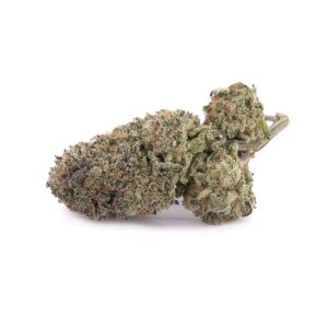 blue dream – buy premium cannabis online in canada looking to buy weed online in canada that offers balance, flavor, and consistency? blue dream is one of the most popular hybrid strains, loved for its smooth, enjoyable high and sweet berry aroma. a cross between blueberry and haze, this strain delivers a versatile experience that appeals to both new and experienced users. effects & experience blue dream provides a balanced high that starts with a gentle cerebral uplift and transitions into a relaxing body effect. it’s ideal for improving mood, enhancing focus, and easing stress without heavy sedation. uplifting and euphoric head high relaxing, calming body effects helps reduce stress and tension smooth, long lasting experience aroma & flavor profile this strain features a sweet berry aroma with hints of blueberry, citrus, and light earthiness. the smoke is smooth and flavorful, making it a go to for those who enjoy fruity strains. sweet blueberry flavor subtle citrus notes light earthy undertones appearance & quality blue dream produces dense, resin coated buds with vibrant green tones, orange hairs, and a frosty layer of trichomes. its visual appeal and sticky texture reflect its premium quality. dense, well formed buds bright orange pistils heavy trichome coverage why buy blue dream online in canada when you buy cannabis online in canada, you want a strain you can trust. blue dream remains a top choice thanks to its consistent effects, smooth flavor, and wide appeal. premium indoor grown quality discreet shipping across canada competitive pricing on ounces and bulk suitable for both beginners and experienced users how to use & store consumption tips: suitable for daytime or evening use start with a small amount and increase gradually enjoy in joints, pipes, or vaporizers storage tips: store in an airtight container keep in a cool, dark place use humidity packs to maintain freshness buy blue dream online today if you’re looking for a reliable and flavorful option when you buy weed online in canada, blue dream delivers a smooth, balanced experience with every session. add it to your cart today and enjoy one of the most popular strains available.