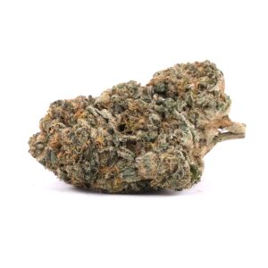 moby dick – sativa – aaa