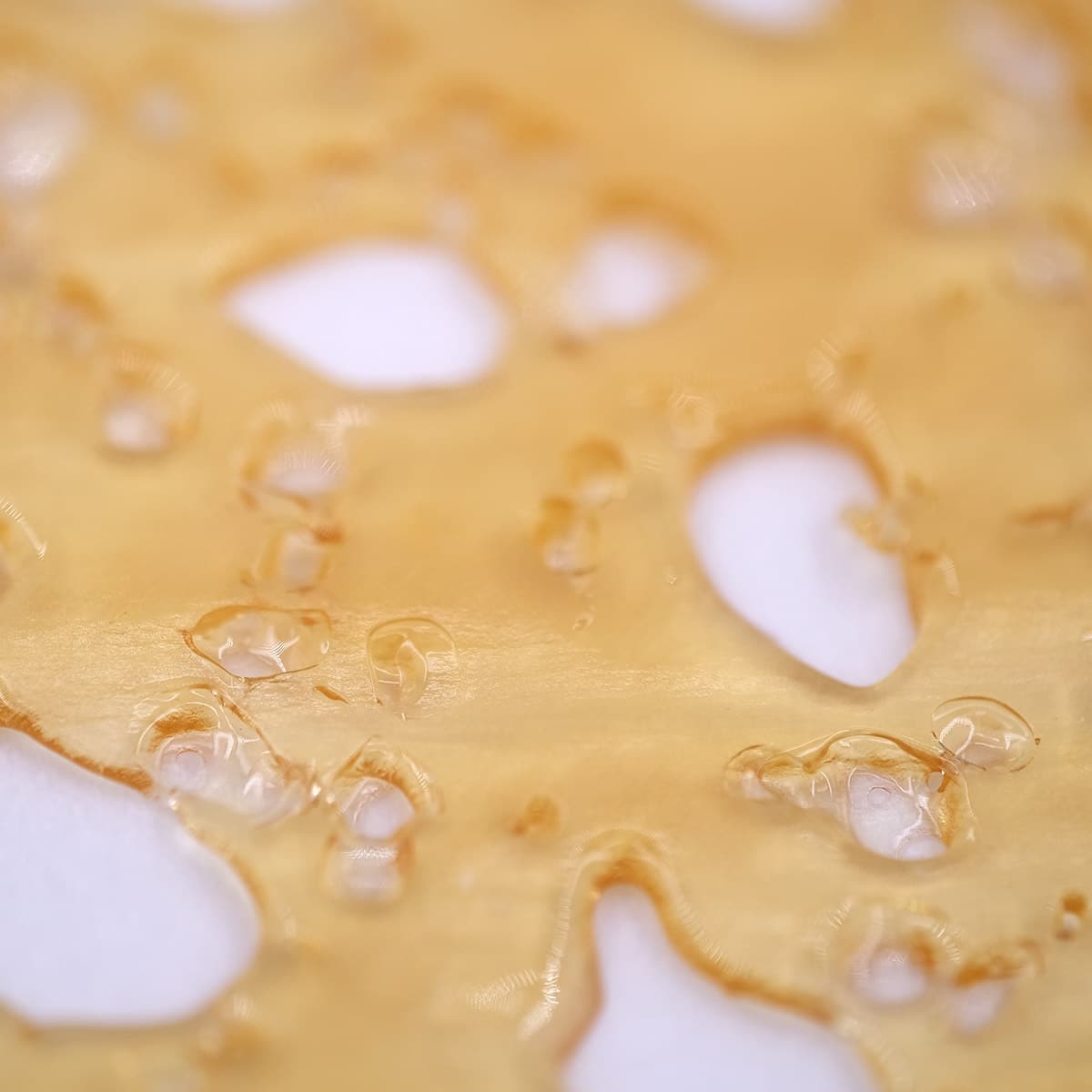 supreme blueberry shatter by the green samurai supreme blueberry shatter by the green samurai
