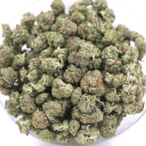 sativa