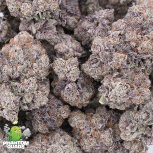 acai berry gelato | aaaa | hybrid | phantom quads